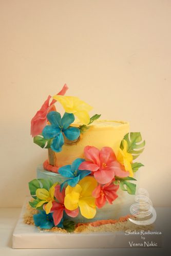 dječja torta, dječje torte, skradin