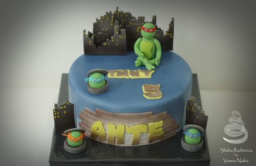 dječja torta, dječje torte, skradin, TMNT