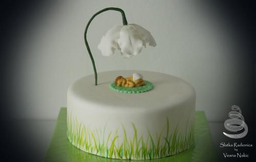 torta za krštenje, krštenje